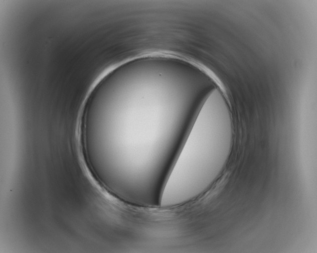X0000114661007200910201017