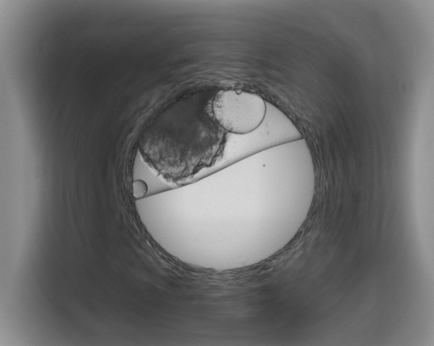 X0000114661009200910201016