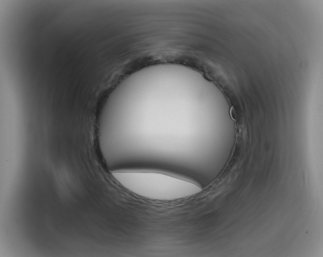 X0000114661012200910201016