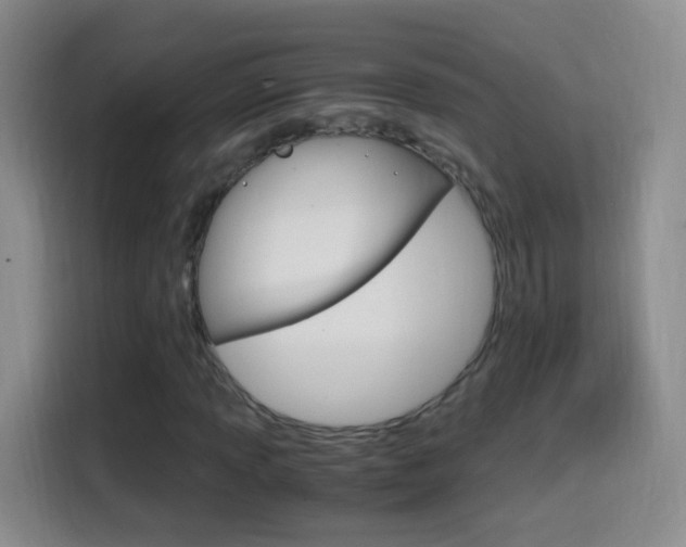 X0000114661013200910201016