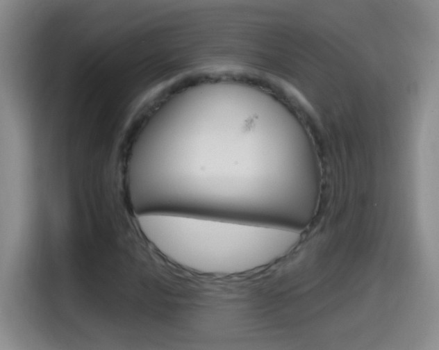 X0000114661016200910201016