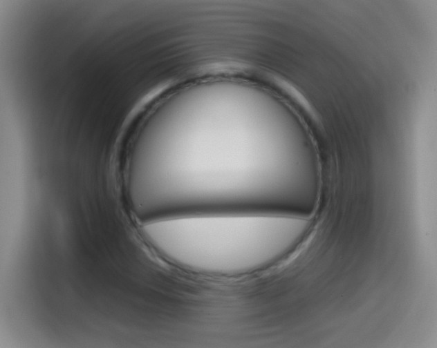 X0000114661018200910201016