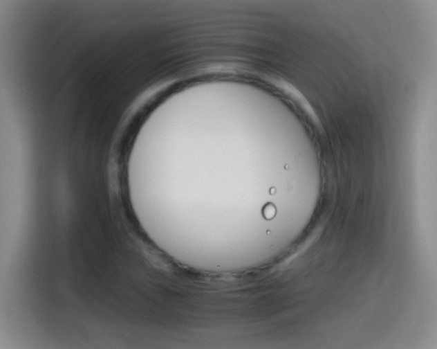 X0000114661019200910201016