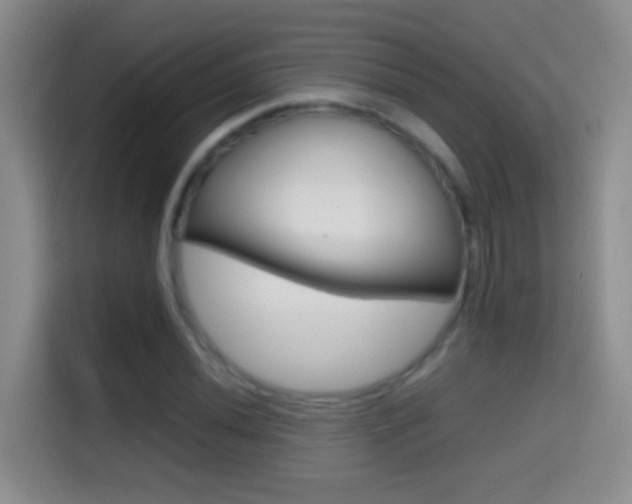 X0000114661020200910201016