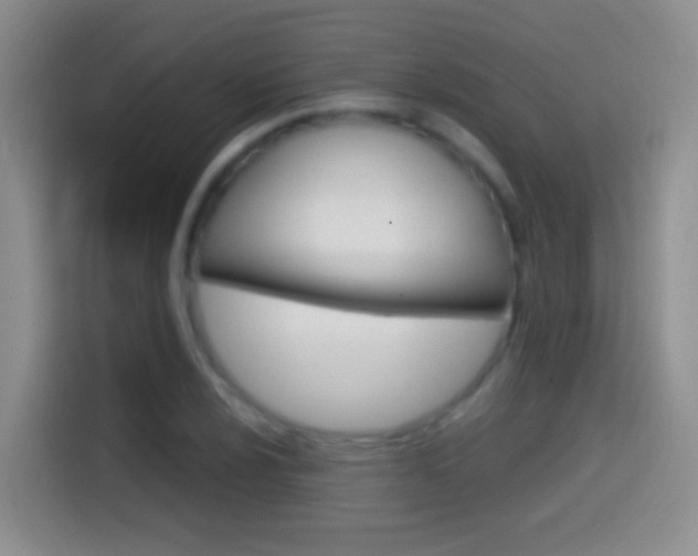 X0000114661024200910201016