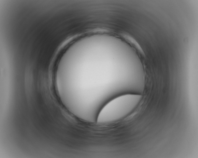 X0000114661027200910201016