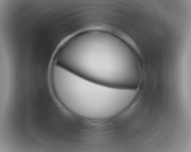 X0000114661028200910201016