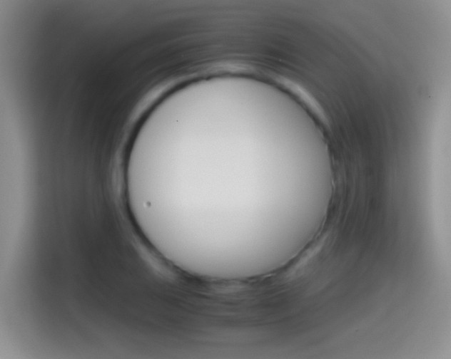 X0000114661031200910201017