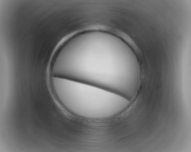 X0000114661032200910201017