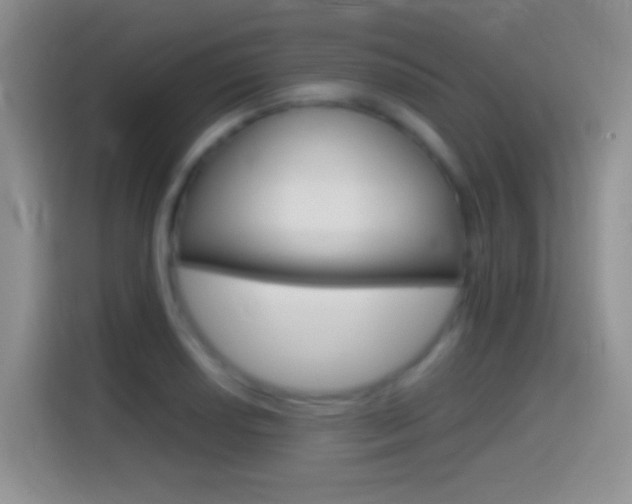 X0000114661034200910201017