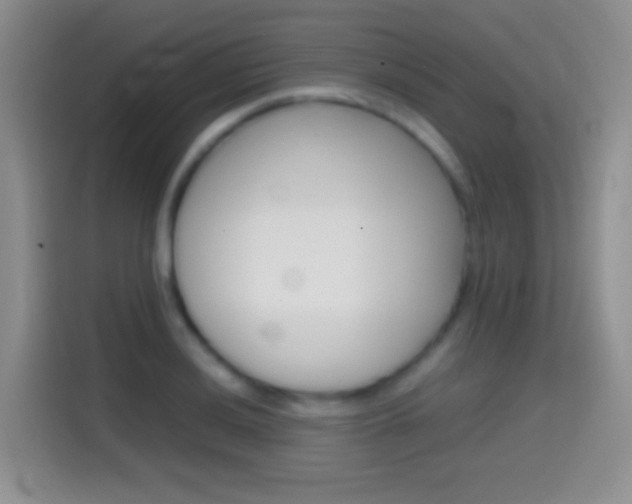 X0000114661036200910201017