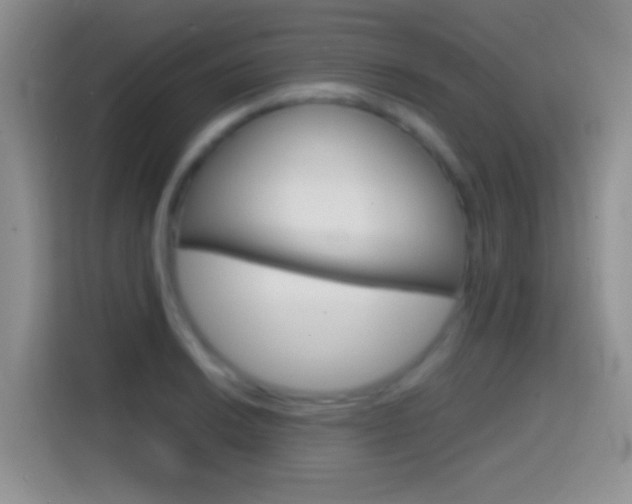 X0000114661038200910201017