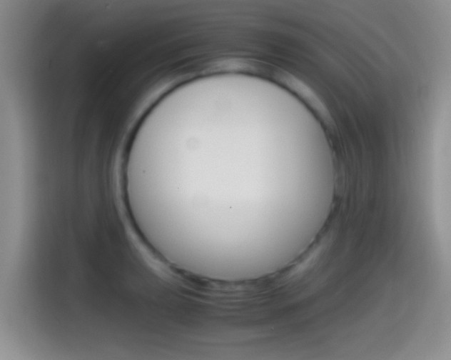 X0000114661039200910201017