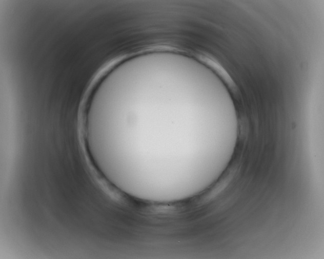 X0000114661043200910201017