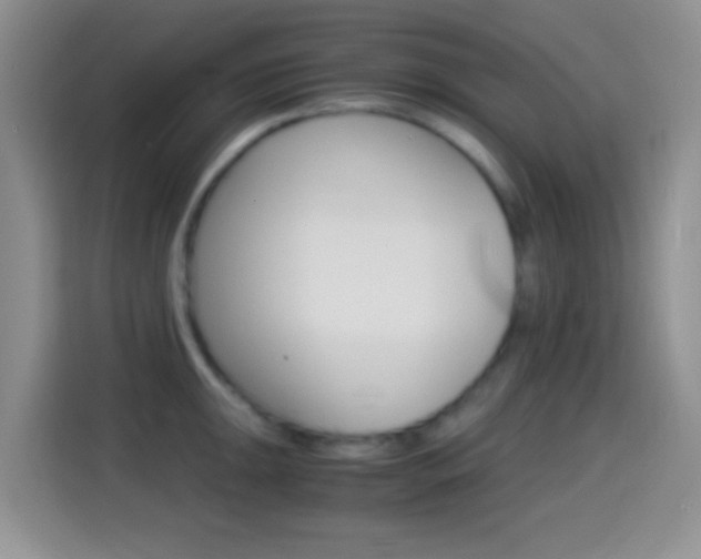 X0000114661047200910201017