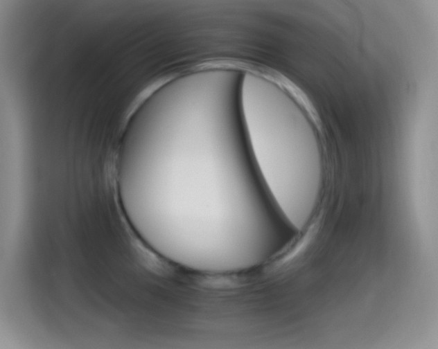 X0000114661049200910201017