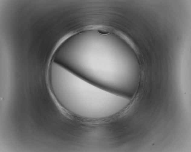 X0000114661050200910201017