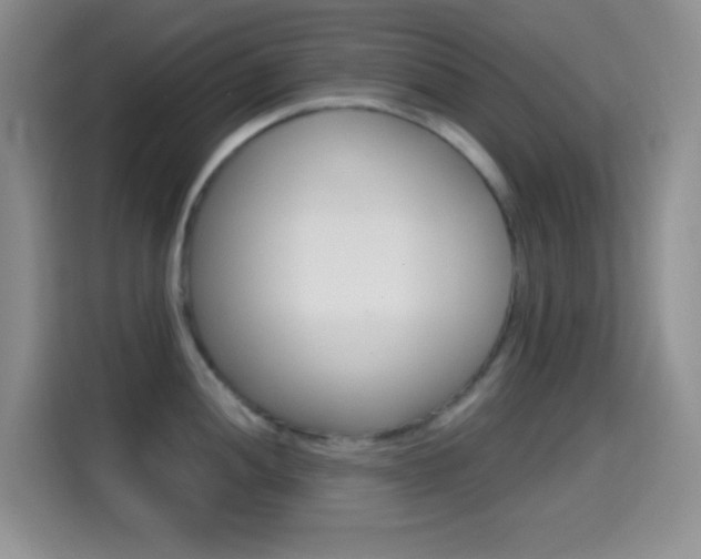 X0000114661052200910201017