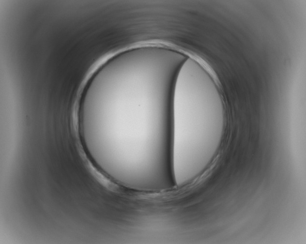 X0000114661054200910201017