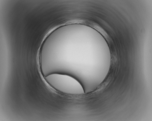 X0000114661055200910201017