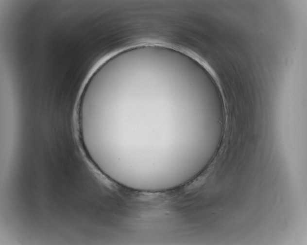 X0000114661056200910201017