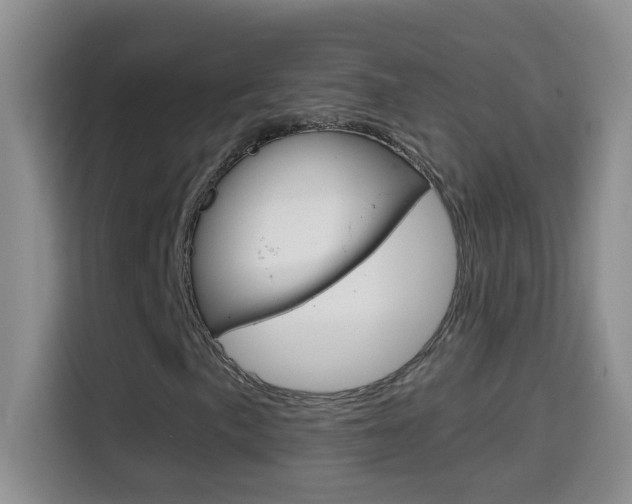 X0000114661057200910201016