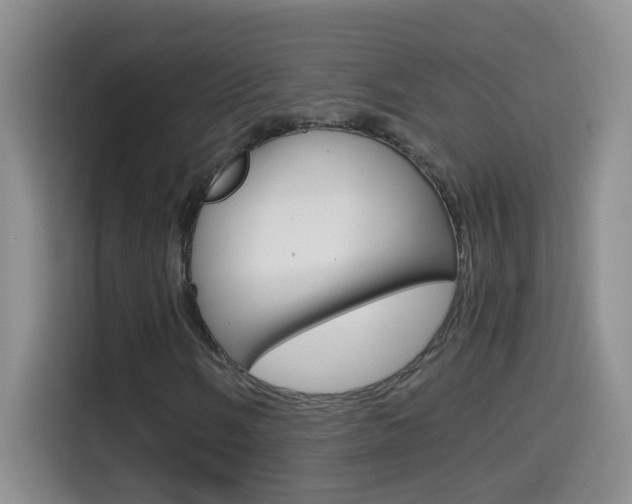 X0000114661058200910201016
