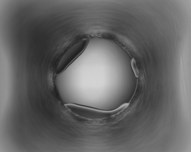 X0000114661060200910201016
