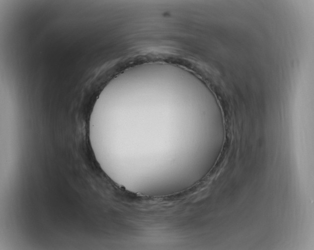 X0000114661061200910201016