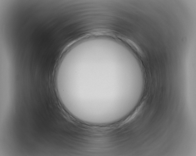 X0000114661065200910201016