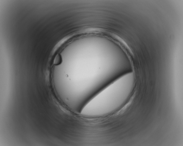 X0000114661066200910201016