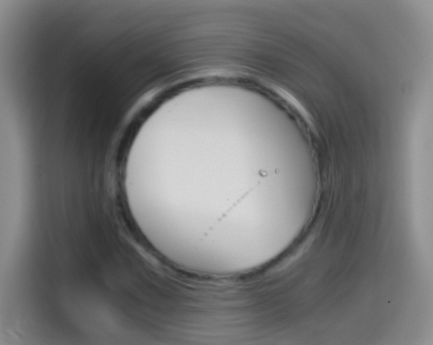 X0000114661067200910201016
