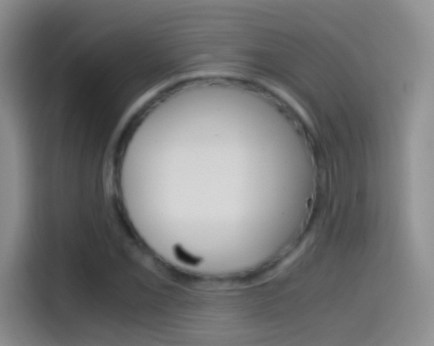 X0000114661069200910201016