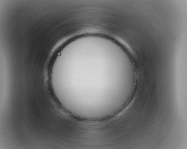 X0000114661070200910201016