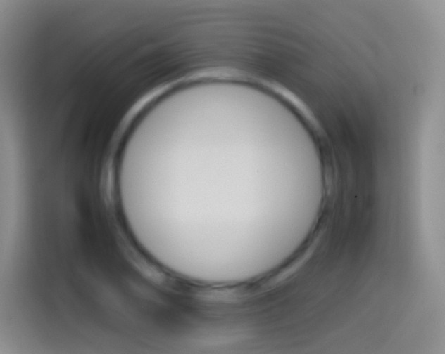 X0000114661078200910201016