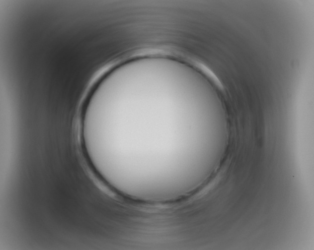 X0000114661079200910201016