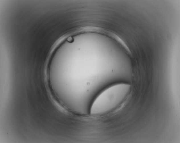 X0000114661082200910201016