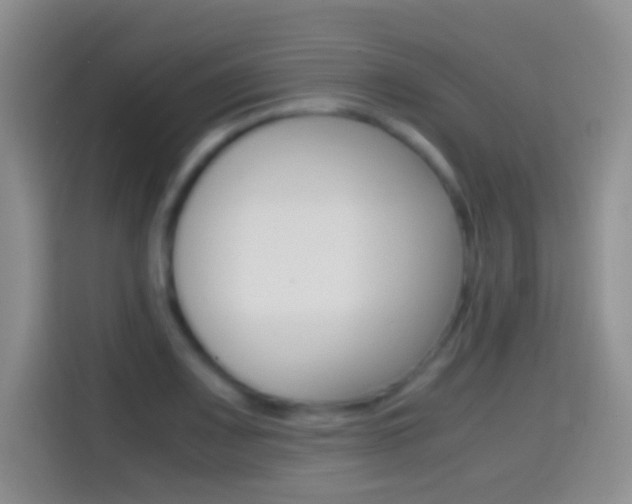 X0000114661083200910201016