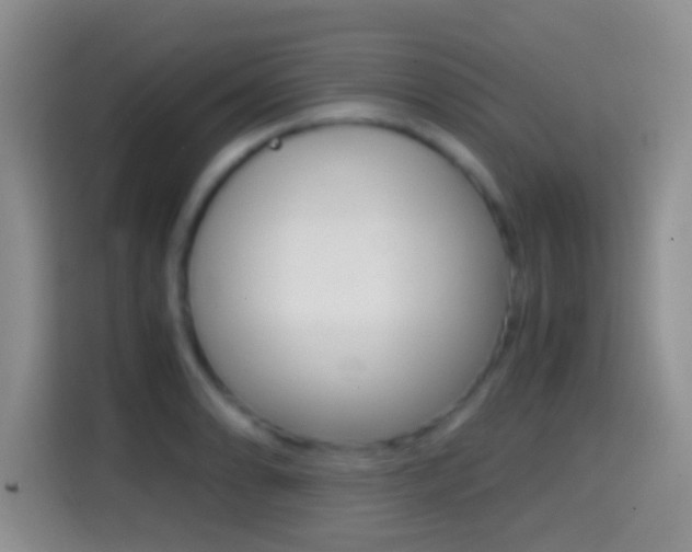 X0000114661086200910201016
