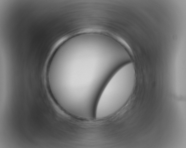 X0000114661087200910201016