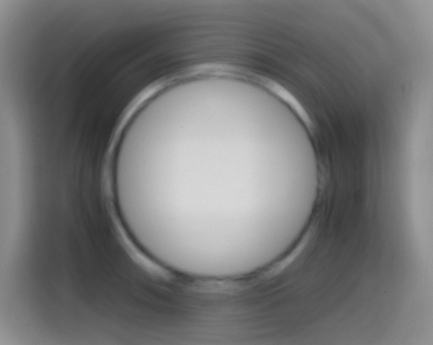 X0000114661090200910201016