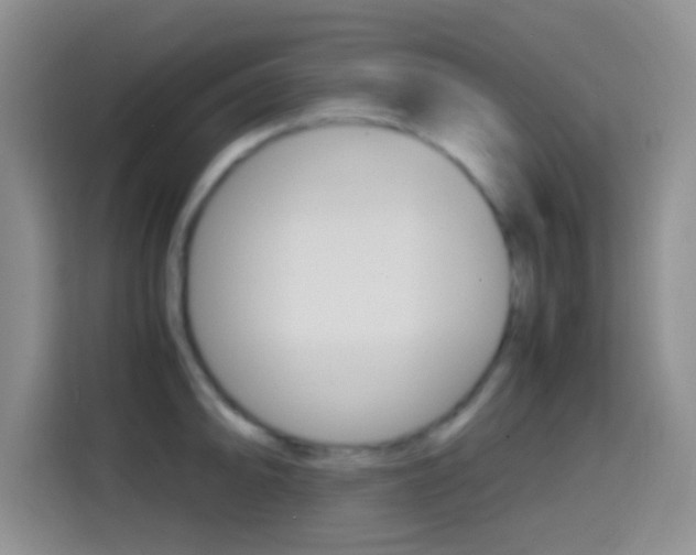 X0000114661094200910201016