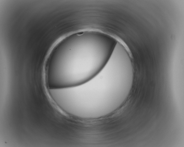 X0000114661096200910201016