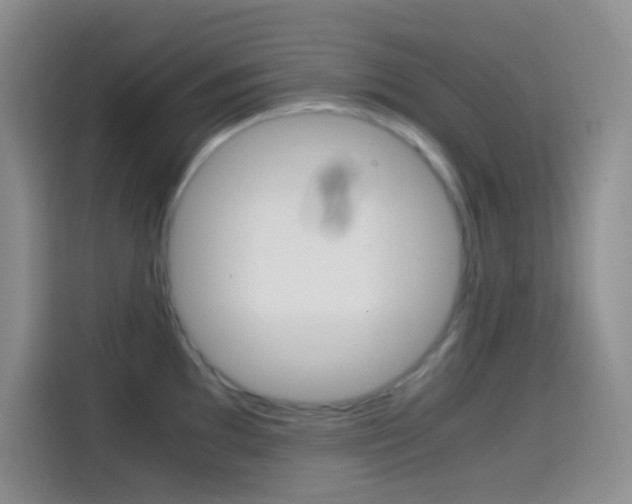 X0000114661097200910201016