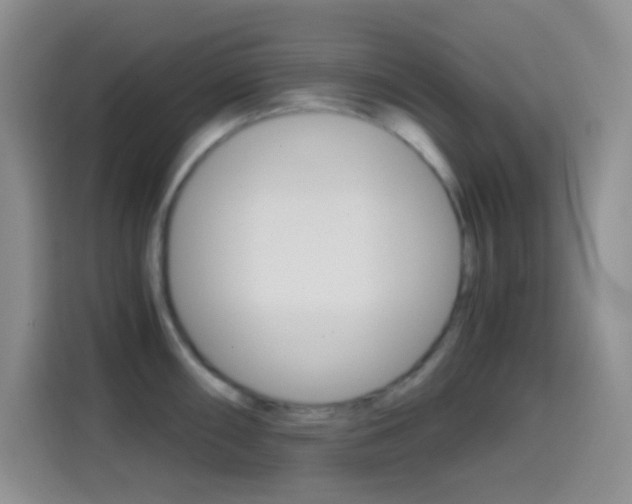 X0000114661098200910201016