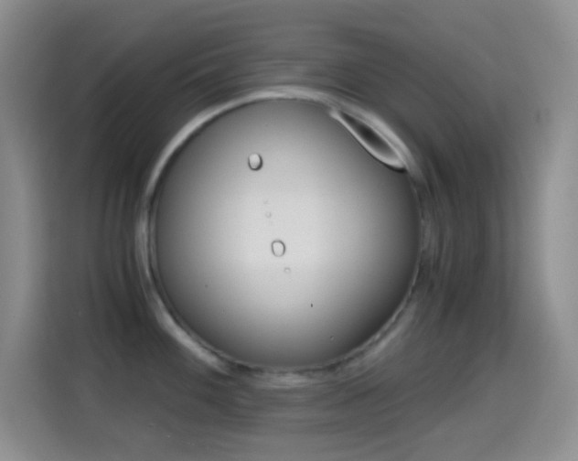 X0000114661100200910201016