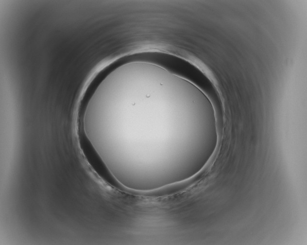 X0000114661104200910201016