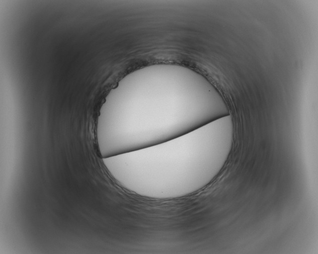 X0000114661107200910201015