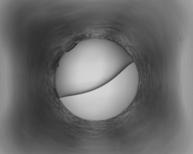 X0000114661109200910201015