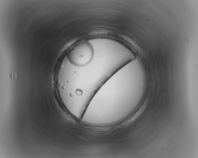 X0000114661113200910201015